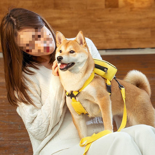 Pet Backpack