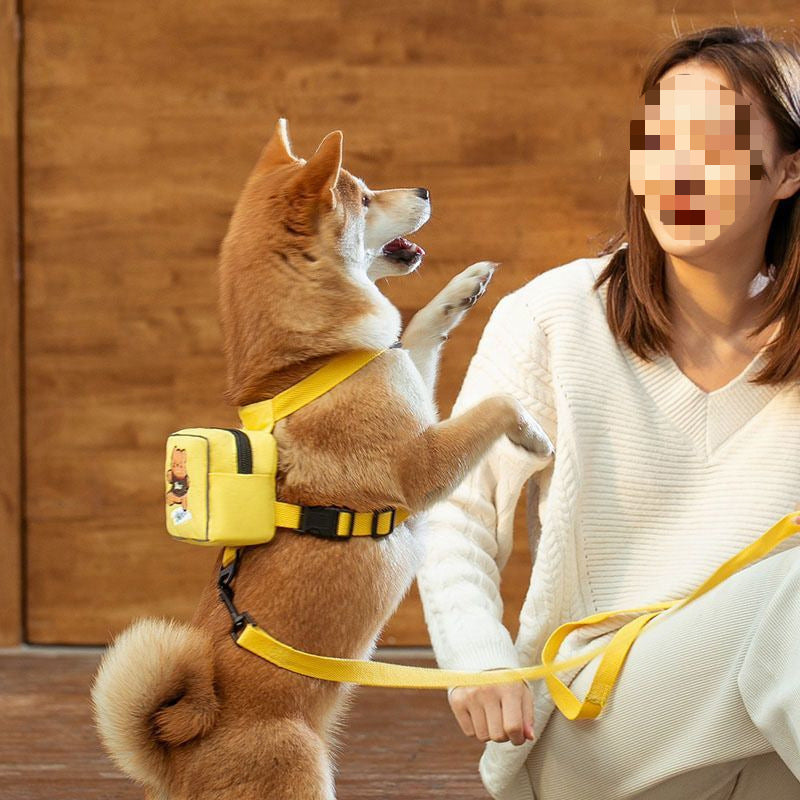 Pet Backpack