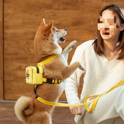 Pet Backpack