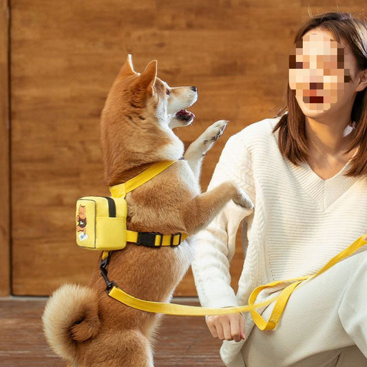 Pet Backpack