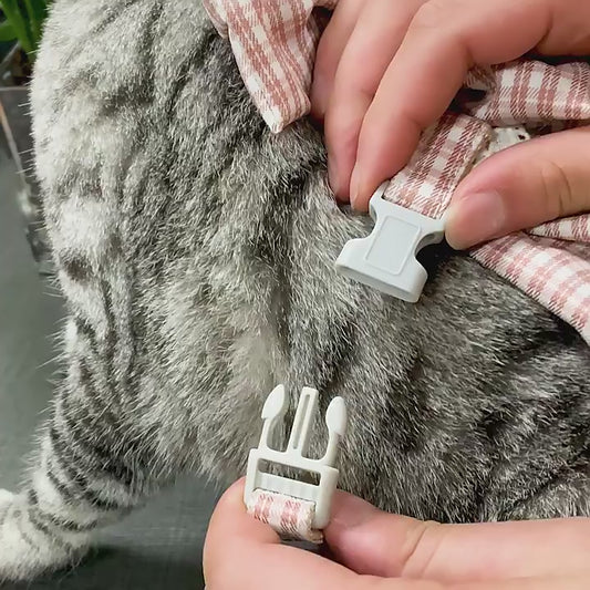 Pet Dress with Bow